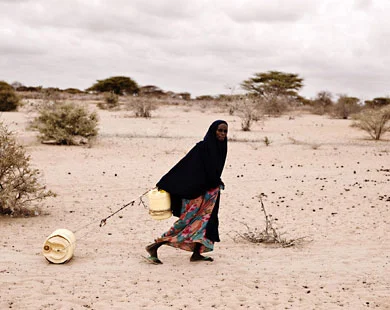 صورة تعبيرية