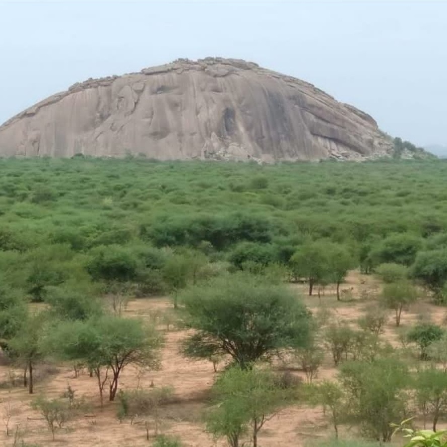 الجبل المكان الذي تم فيه اختطاف الطفل