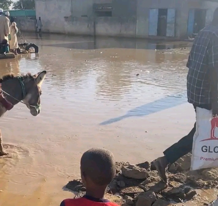 أدى ارتفاع منسوب المياه لانهيار عدد كبير من المنازل في الجزيرة أبا