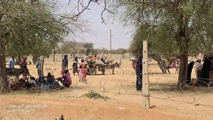 نزوح عكسي من معسكر زمزم إلى داخل مدينة الفاشر هربا من انتهاكات المليشيا
